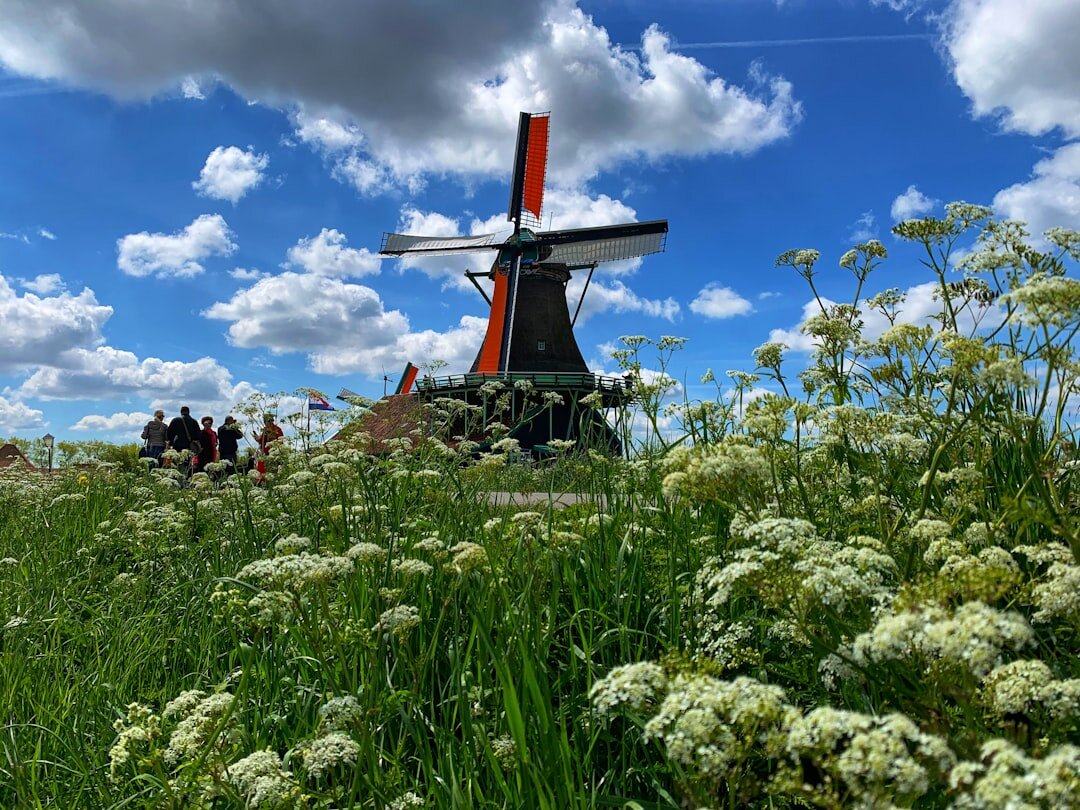 dutch windmill landscape
